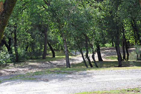 the view from the RV of the two RV Gypsies